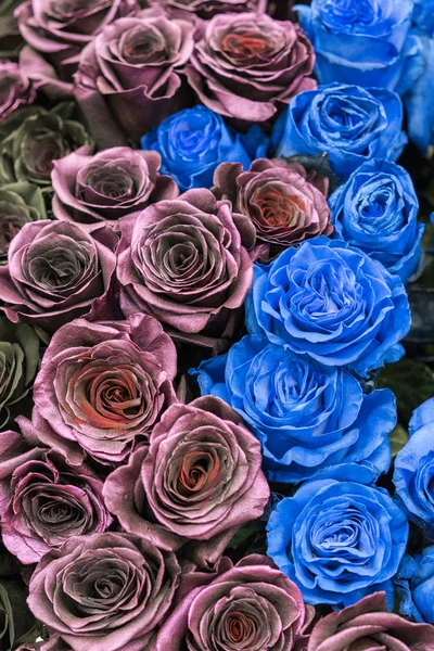 Bouquet Rose Nere Blu Bordeaux — Foto Stock