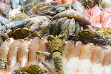 Istakoz, lapa, karides, buzdaki balık. Deniz ürünleri sergileniyor. Deniz ürünleri ile tezgah. 