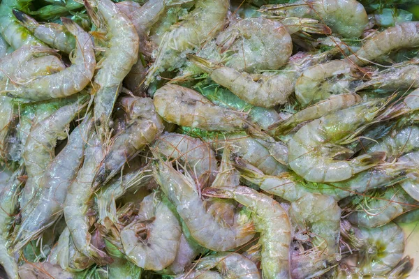 Tiger prawns in ice. Penaeus monodon, giant tiger prawn or Asian tiger shrimp. Freshly caught big king tiger prawns shrimp on ice displayed at fish market.