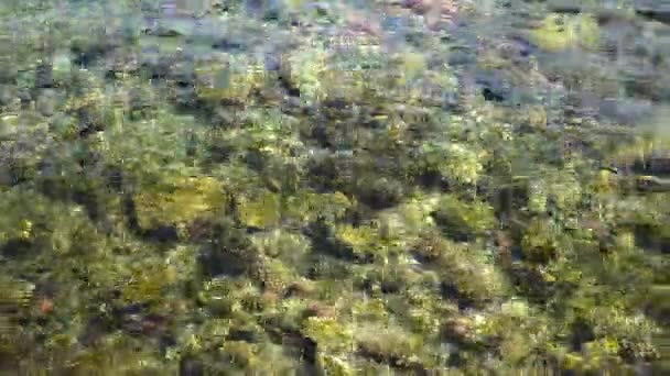 Coraux sous l'eau claire. Contexte marin abstrait. Blurry .