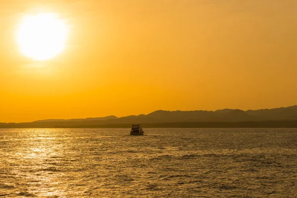 Puesta Sol Mar Tonificado Copiar Espacio — Foto de Stock