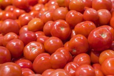 Süpermarketin rafında taze ve olgun domatesler.. 