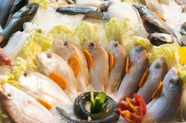 Deniz ürünleri buz ekranında. Deniz ürünleri ile tezgah.