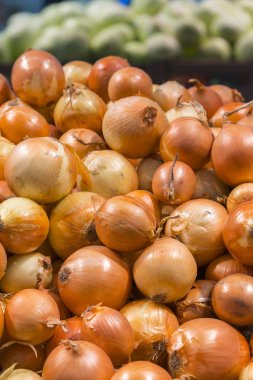 Arka plan olarak taze sarı soğan. Sebze deposu.