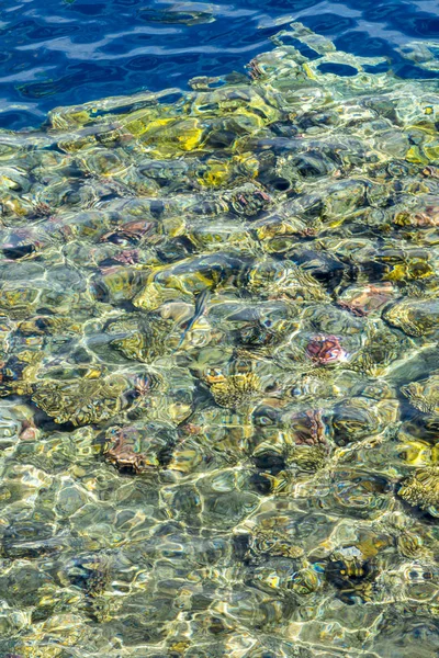 Corais Sob Água Limpa Fundo Marinho Abstrato Desfoque — Fotografia de Stock