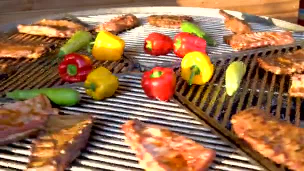 Roterende Grill Gitter Med Kød Grøntsager – Stock-video