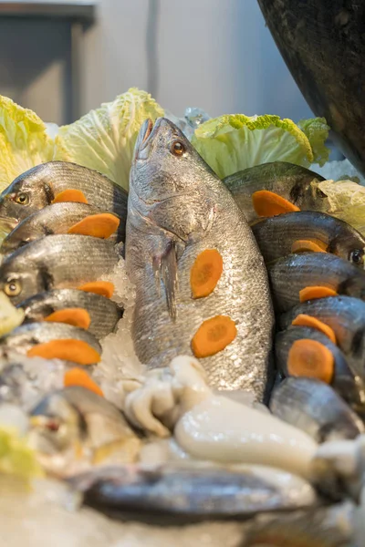 Свежая Морская Рыба Льду Рынке Здоровые Морепродукты — стоковое фото