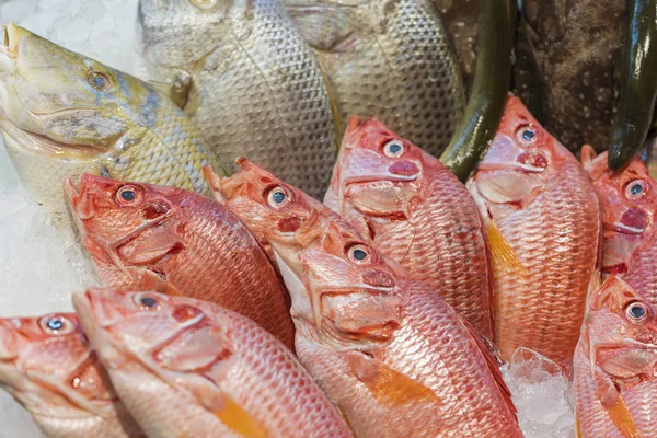 Свежая Морская Рыба Льду Рынке Здоровые Морепродукты — стоковое фото