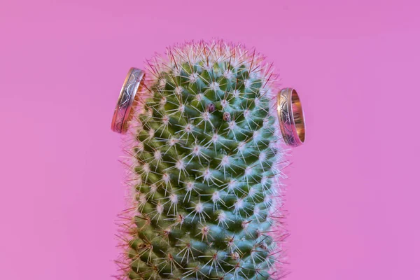 Two Golden Wedding Rings Cactus Selective Focus — Stock Photo, Image