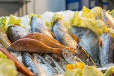 Pazarda buzda taze deniz balığı. Sağlıklı deniz ürünleri.