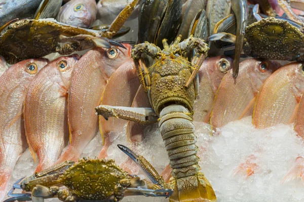 Lobsters Langustines Shrimps Fish Ice Seafood Display — Stock Photo, Image