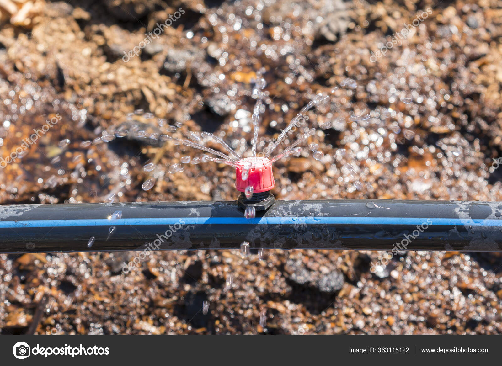 Sprinkler systems, drip irrigation, watering lawns. Drip Irrigation System Close Up. Water