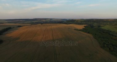 Bir güzel buğday alanının havadan görünümü