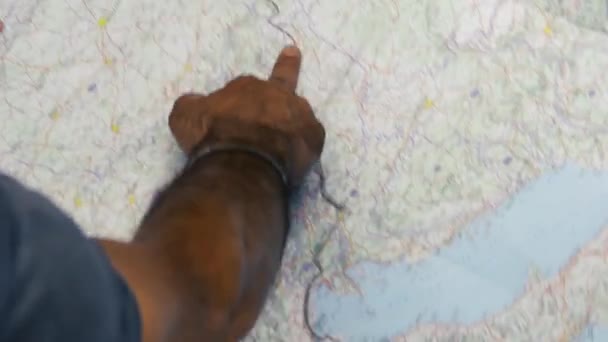 Harita üzerinde arama. Gezi planı — Stok video