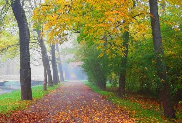 Foggy morning in Alexandrovsky Park — Stock Photo, Image