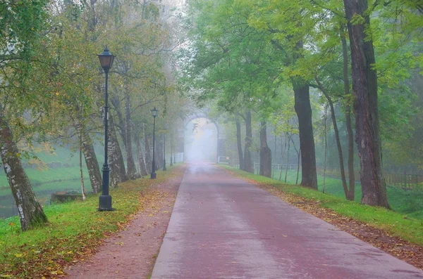 Podkaprizovaya carretera en el Parque Alexandrovsky —  Fotos de Stock