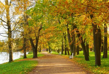 Sonbahar sabahı Alexandrovsky Park