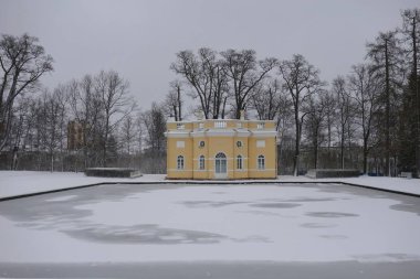 Kasım ayında kar günü