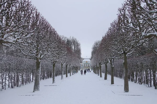 Snow Day in November — Stock Photo, Image