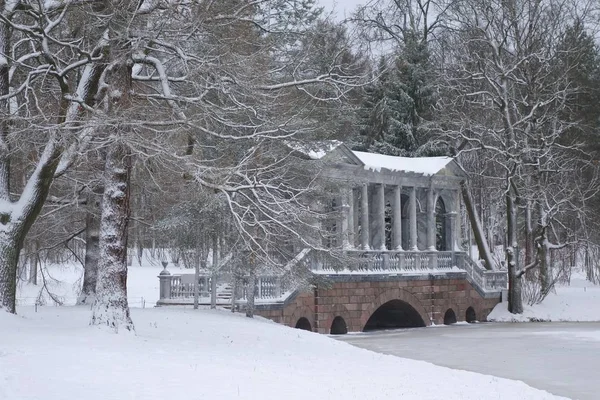 Día de la nieve en noviembre — Foto de Stock