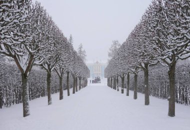 Kar fırtınasında yürümek