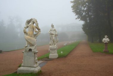 Tsarskoe Selo 'da puslu bir sonbahar sabahı