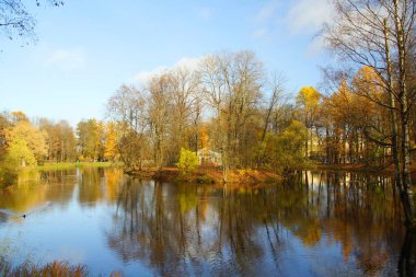 Tsarskoye Selo 'daki Alexander Park' ta sonbahar yürüyüşü
