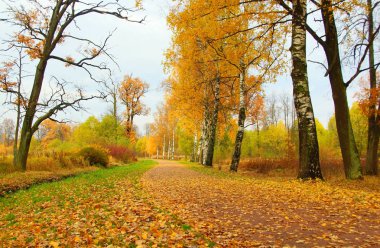 Tsarskoye Selo 'daki Alexander Park' ta sabah yürüyüşü