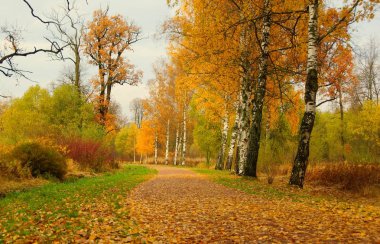 Tsarskoye Selo 'daki Alexander Park' ta sabah yürüyüşü