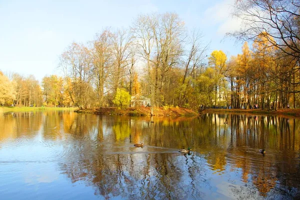 Jesienny spacer w Alexander Park w Carskie Selo — Zdjęcie stockowe