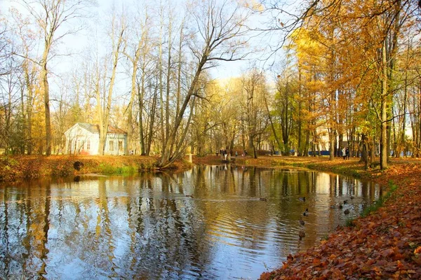Caminata de otoño en Alexander Park en Tsarskoye Selo —  Fotos de Stock