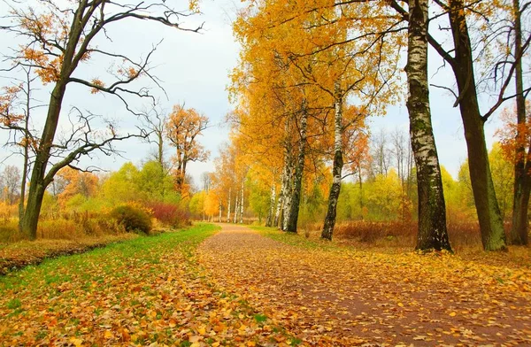 Morgenspaziergang im Alexanderpark in Zarskoje selo — Stockfoto