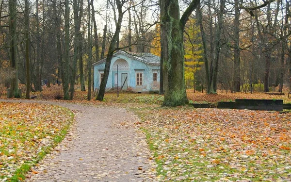 Ранкова прогулянка в парку Олександра в Цсарському Село. — стокове фото