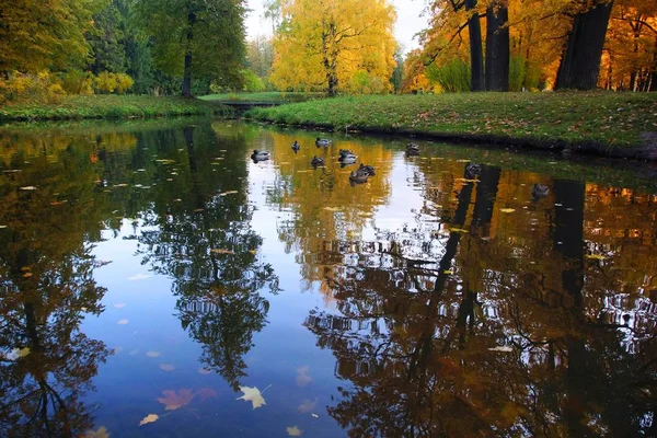 Paseo matutino en Catherine Park en Tsarskoye Selo — Foto de Stock