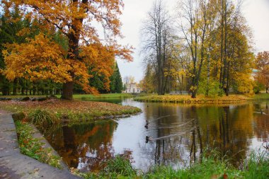 Tsarskoye Selo 'daki Catherine Park' ta sabah yürüyüşü, sonbahar manzarası ve gıcırtılı bir çardak.