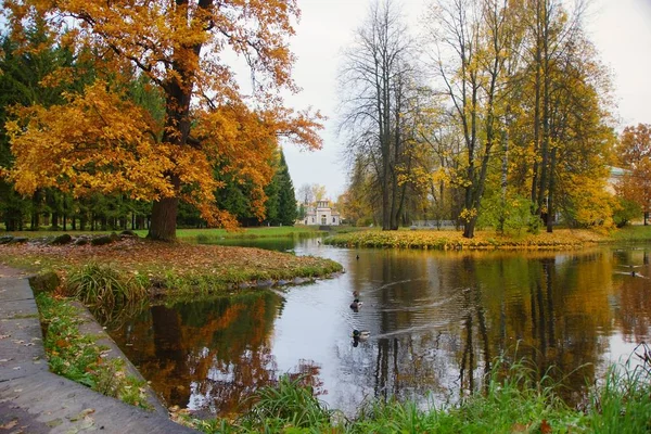 Poranny spacer w Catherine Park w Carskim Selo, jesienny krajobraz i skrzypiąca altana — Zdjęcie stockowe