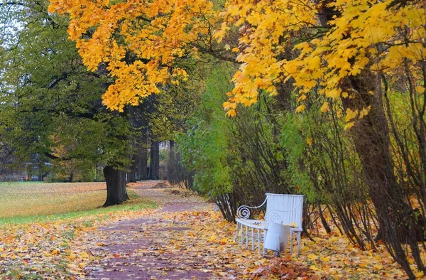 Tsarskoye Selo 'daki Catherine Park' ta sabah yürüyüşü — Stok fotoğraf