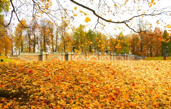 Poranny spacer po parku Catherine w Carskim Selo, jesienny krajobraz — Zdjęcie stockowe