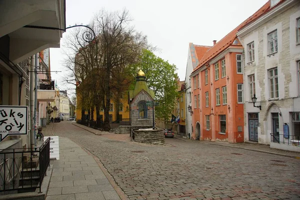 Caminhada interessante na parte histórica de Tallinn — Fotografia de Stock