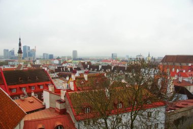 Bahar sabahı şehri ve Tallinn 'in tarihi bölümünde ilginç bir yürüyüş.
