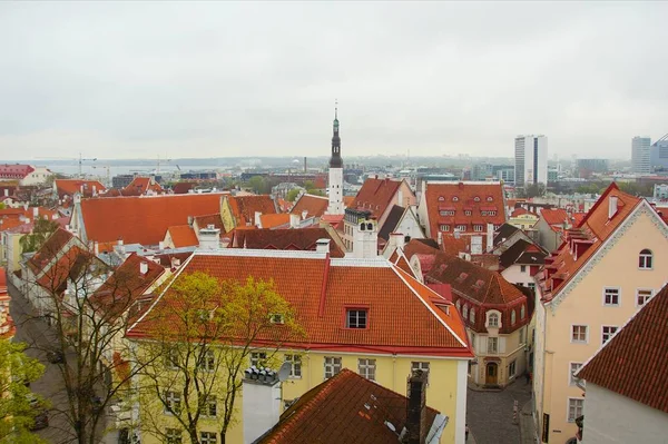 Spring morning city and an interesting walk in the historical part of Tallinn — Stock Photo, Image