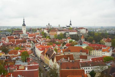 Bahar sabahı şehri ve Tallinn 'in tarihi bölümünde ilginç bir yürüyüş.