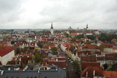 Bahar sabahı şehri ve Tallinn 'in tarihi bölümünde ilginç bir yürüyüş.