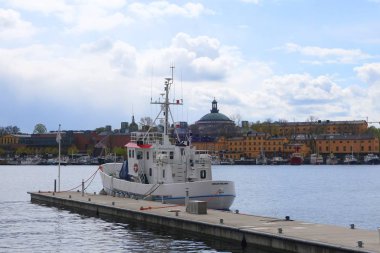 Pazar günü Stockholm 'ün merkezinde yürüyüş