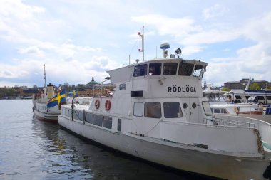 Pazar günü Stockholm 'ün merkezinde yürüyüş