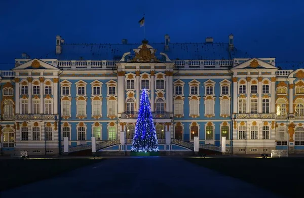 Рано Вранці Новорічна Ялинка Палаці Катерини Цсарському Село — стокове фото