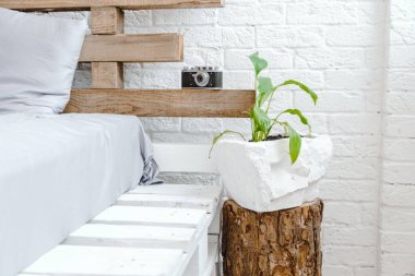 Beyaz ışık iç retro kamera, yastık ve küçük bitki