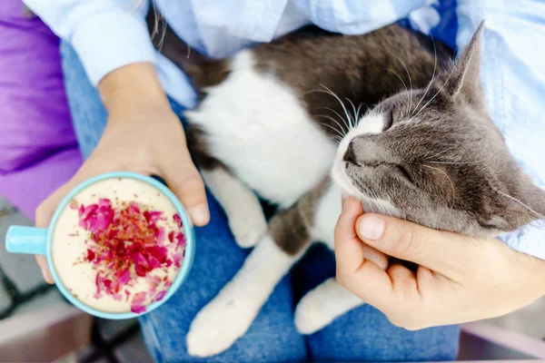 Kız kot ceketli bir fincan kapuçino şirin bir kedi ile tutarak