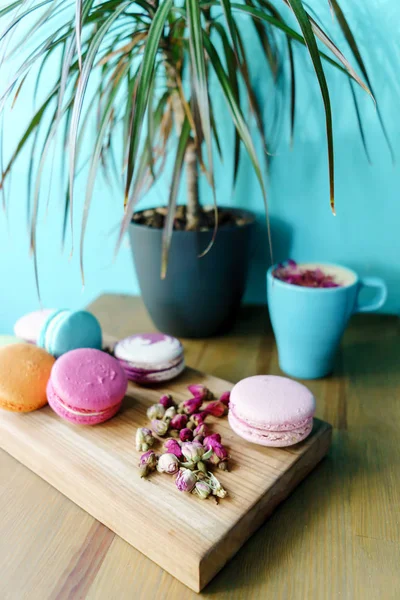 Güzel Fransız macarons ve aroma kapuçino Kupası bitki cam vazo içinde sunulan tablo. Mavi duvar arka plan. Kavramı ticaret