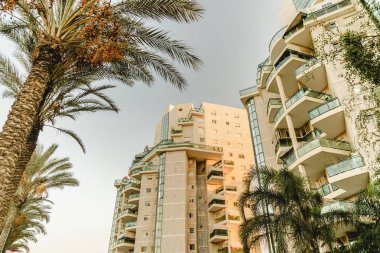 Güzel cityscape palmiye ağaçları ve Binalar